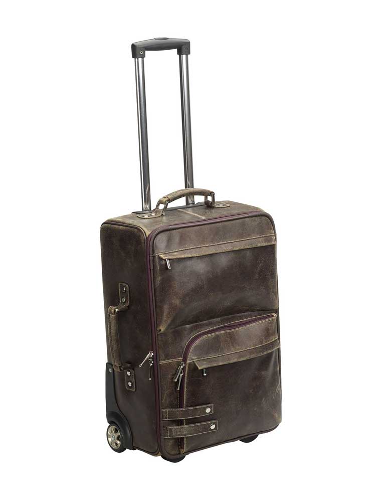 THE CRUSADER (BELLINO)