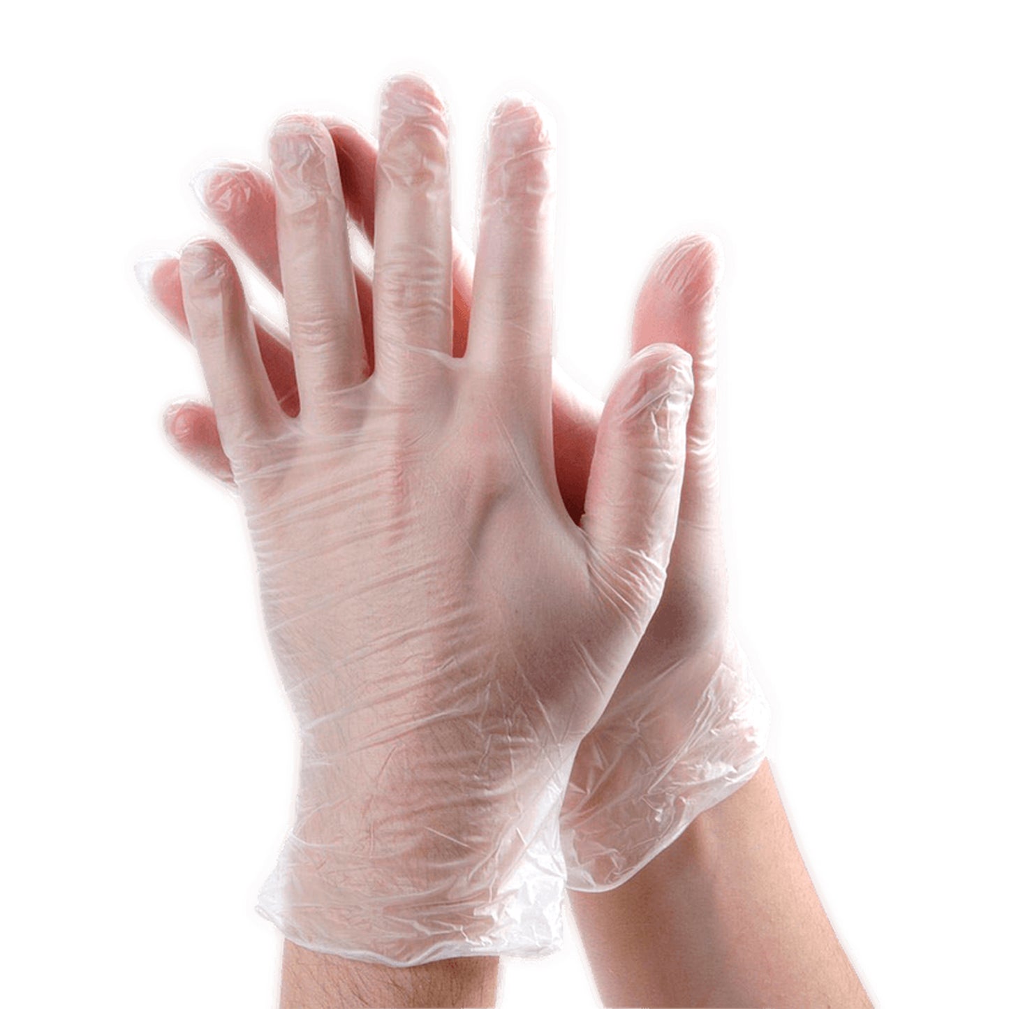 Disposable Vinyl Gloves (1 Box)